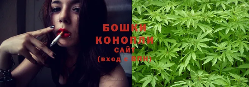 Каннабис SATIVA & INDICA  наркотики  Пыталово 